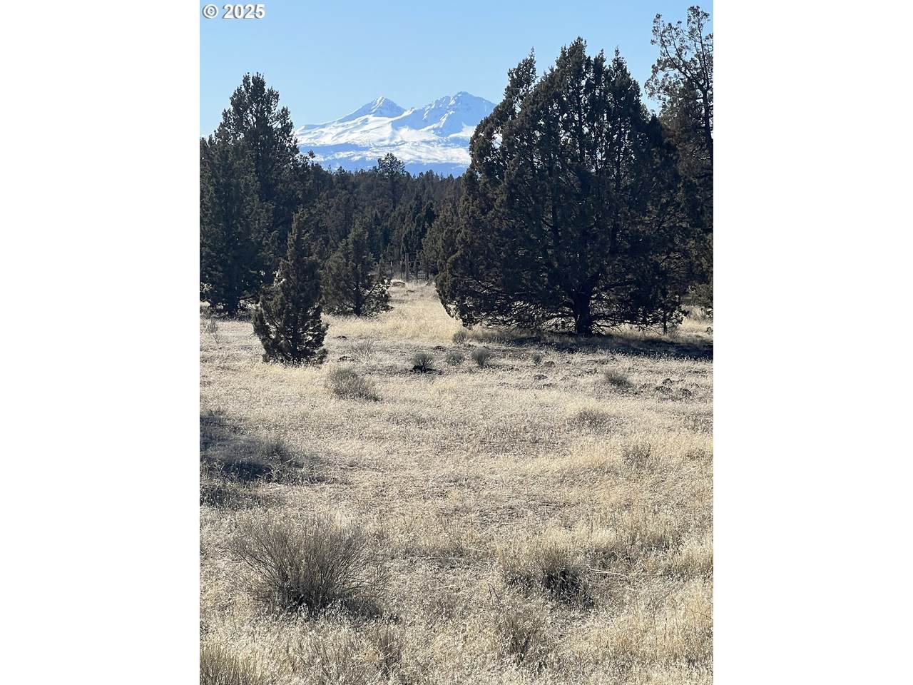 69380 Buckhorn Rd - Photo 1