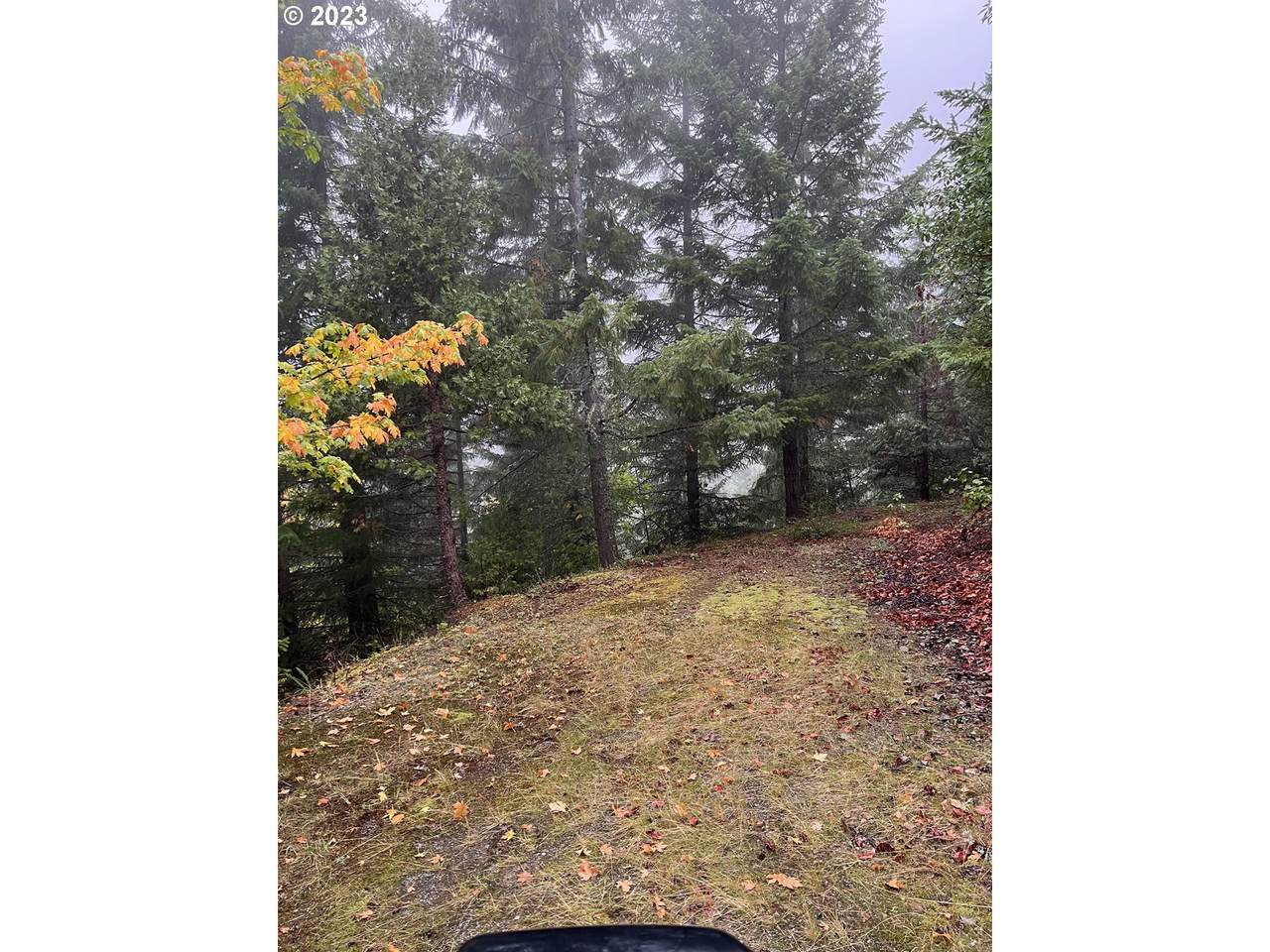 6232 Coyote Creek Rd - Photo 1