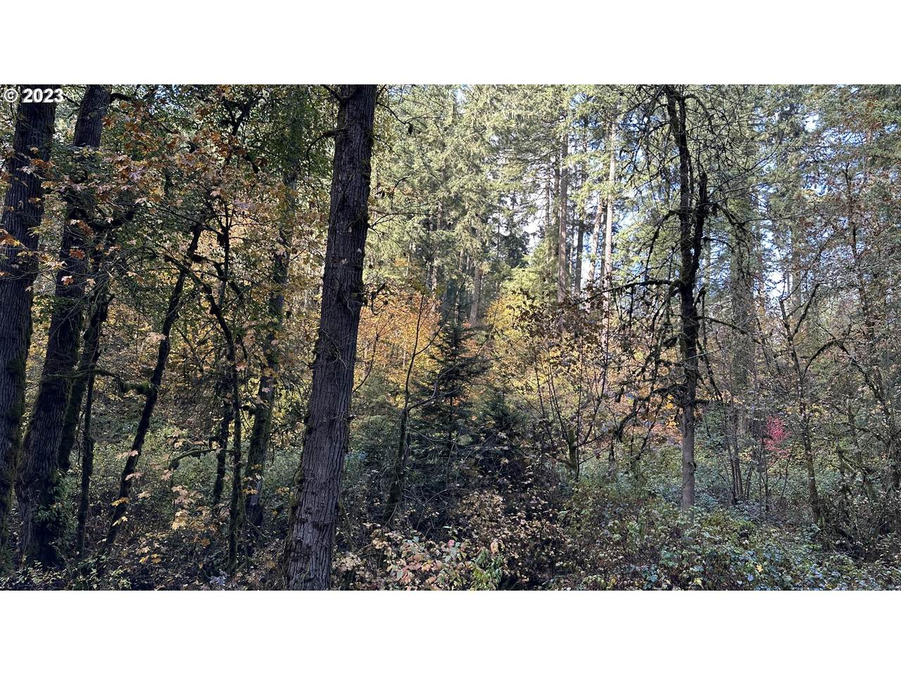 https://bt-photos.global.ssl.fastly.net/portland/1280_boomver_1_23048230-2.jpg