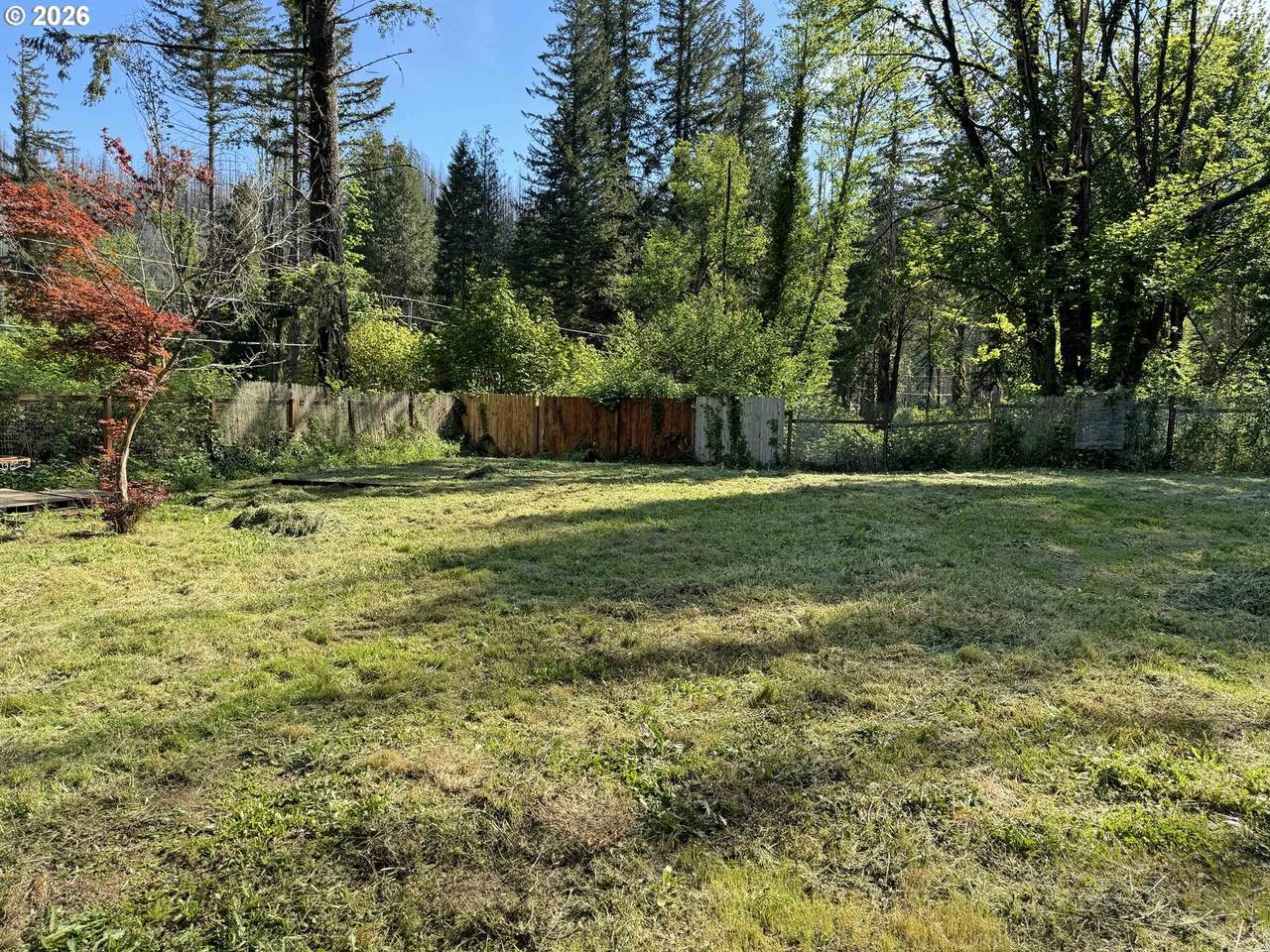 49513 Mckenzie Hwy - Photo 1