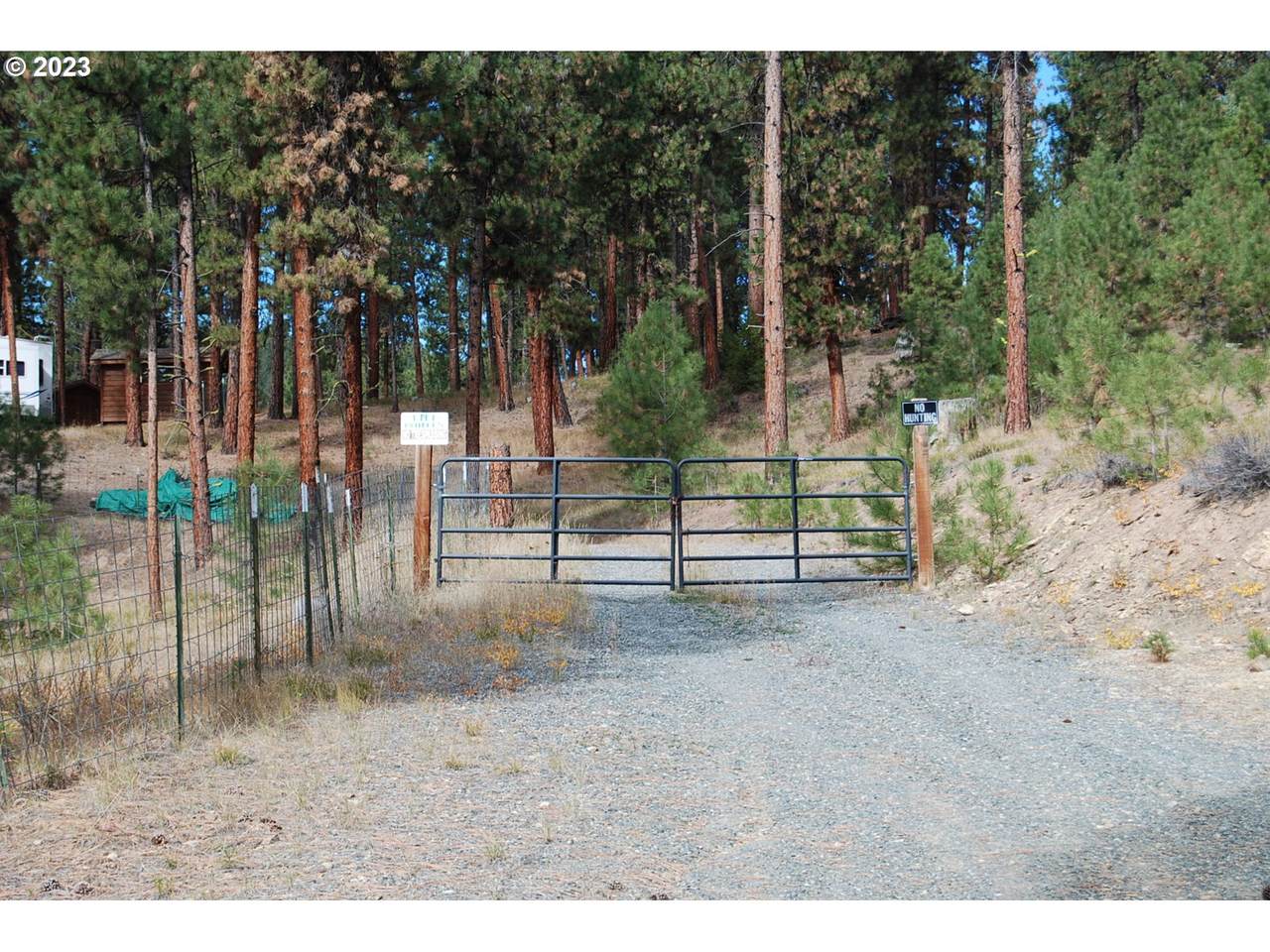 39704 Golden Chariot Rd - Photo 1