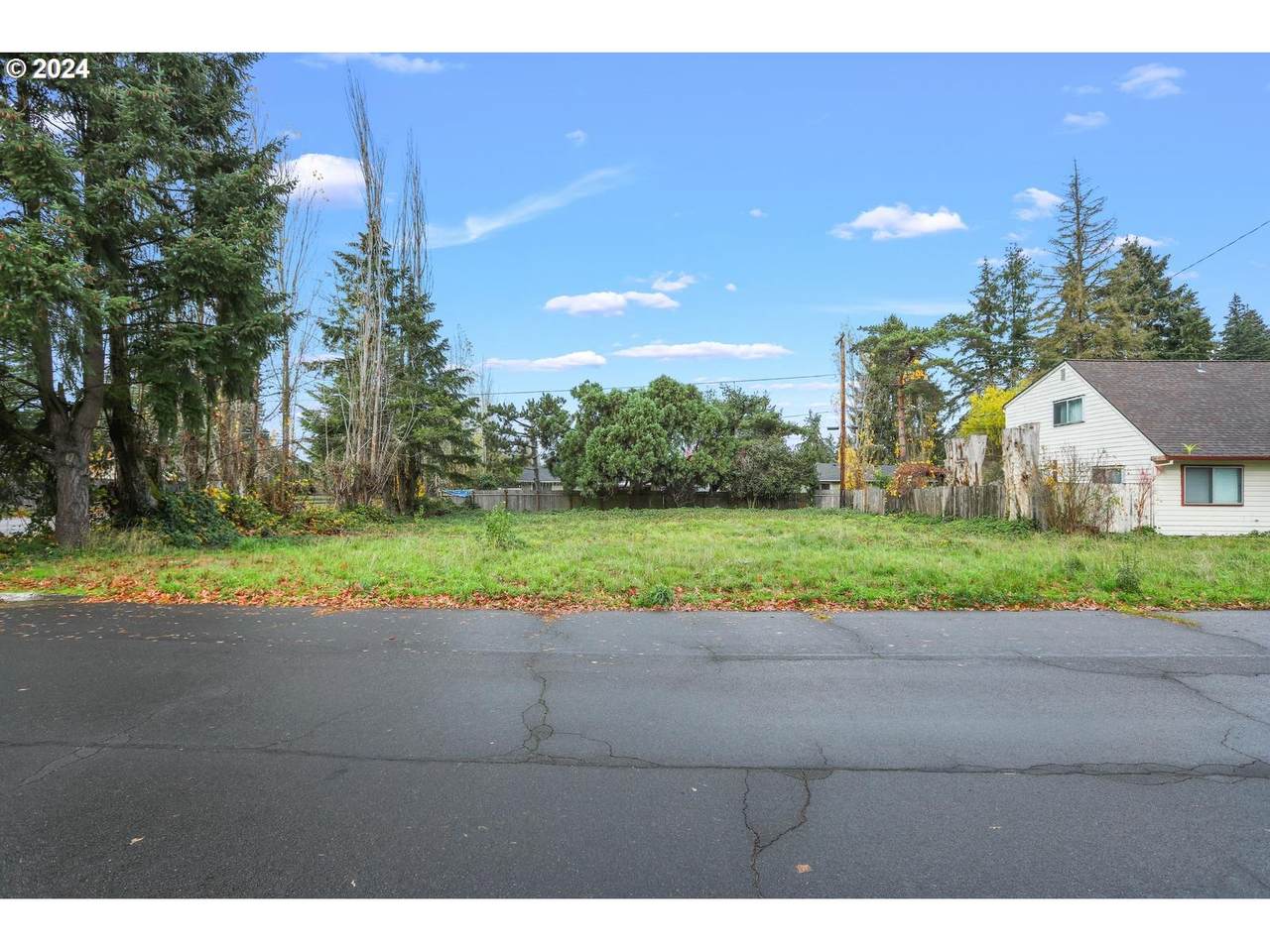  Butternut Dr - Photo 1