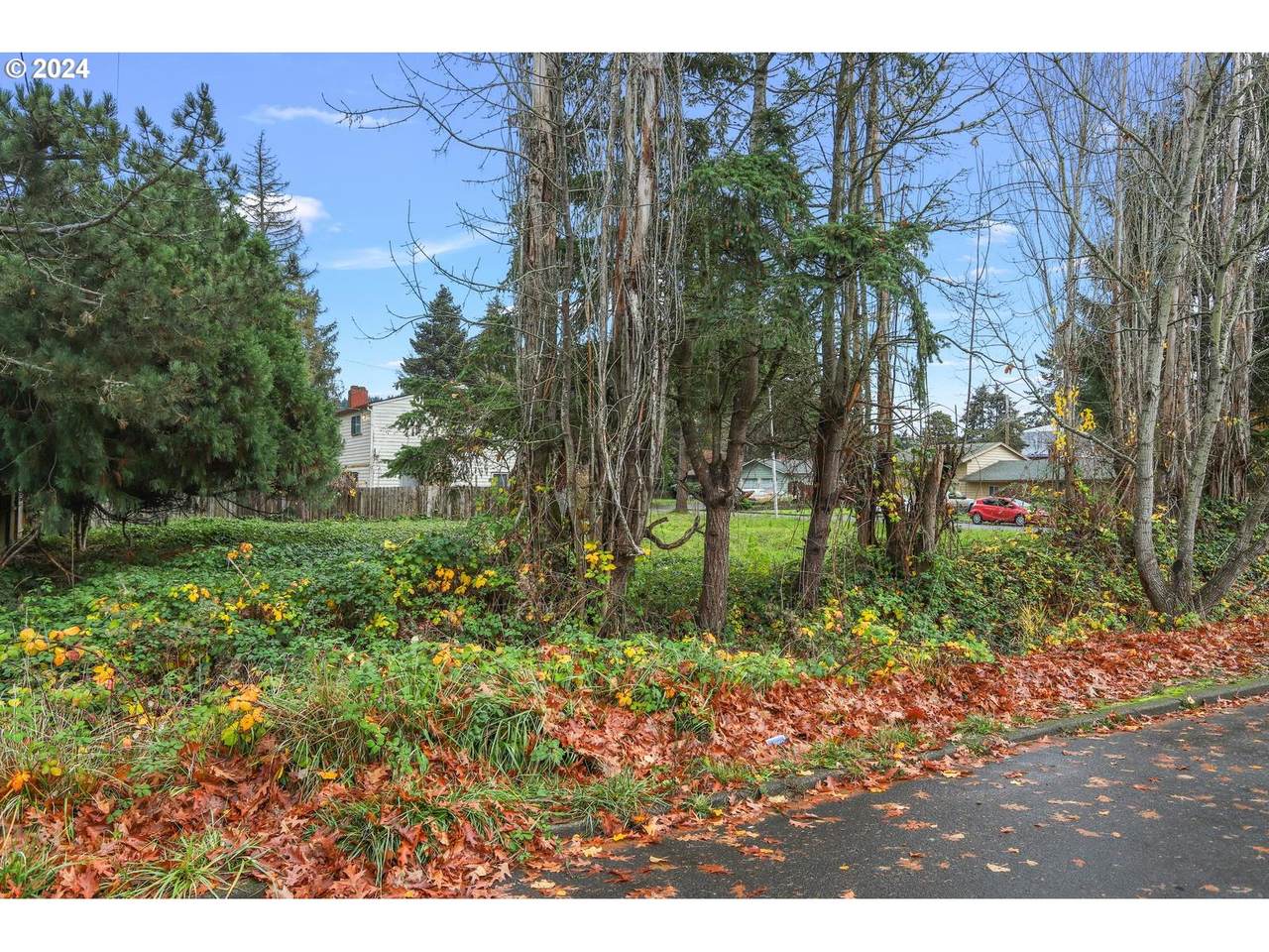 https://bt-photos.global.ssl.fastly.net/portland/1280_boomver_1_235266684-2.jpg