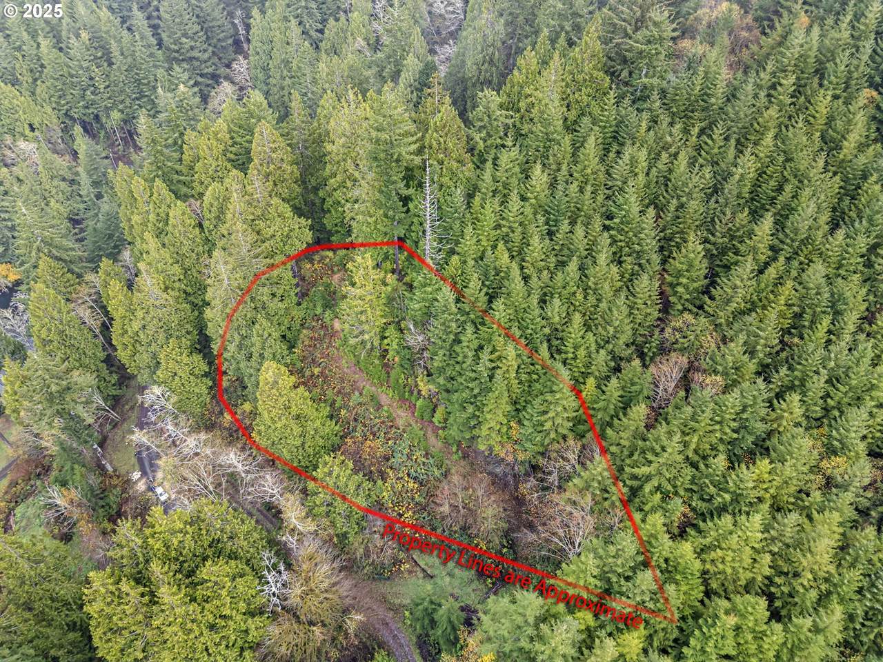 https://bt-photos.global.ssl.fastly.net/portland/1280_boomver_1_235946305-2.jpg