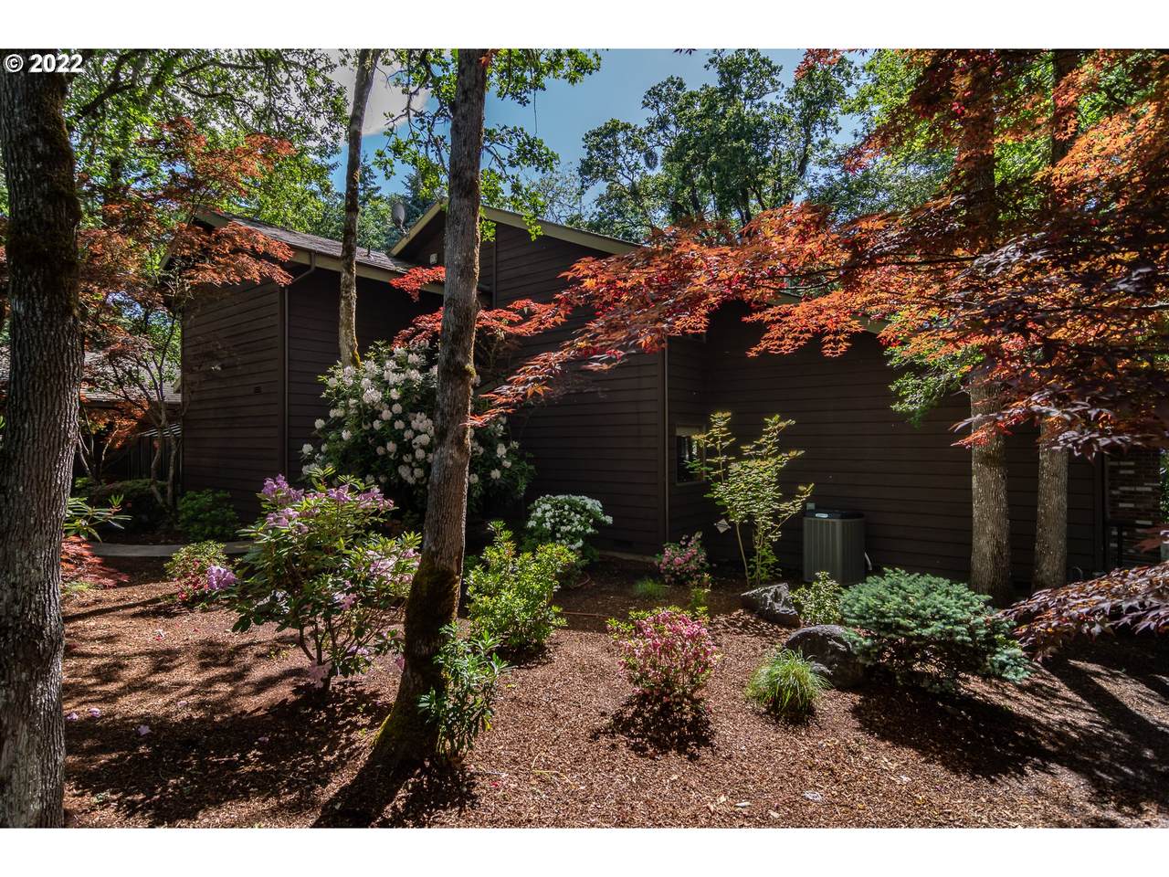 205 Wild Fern Dr - Photo 1