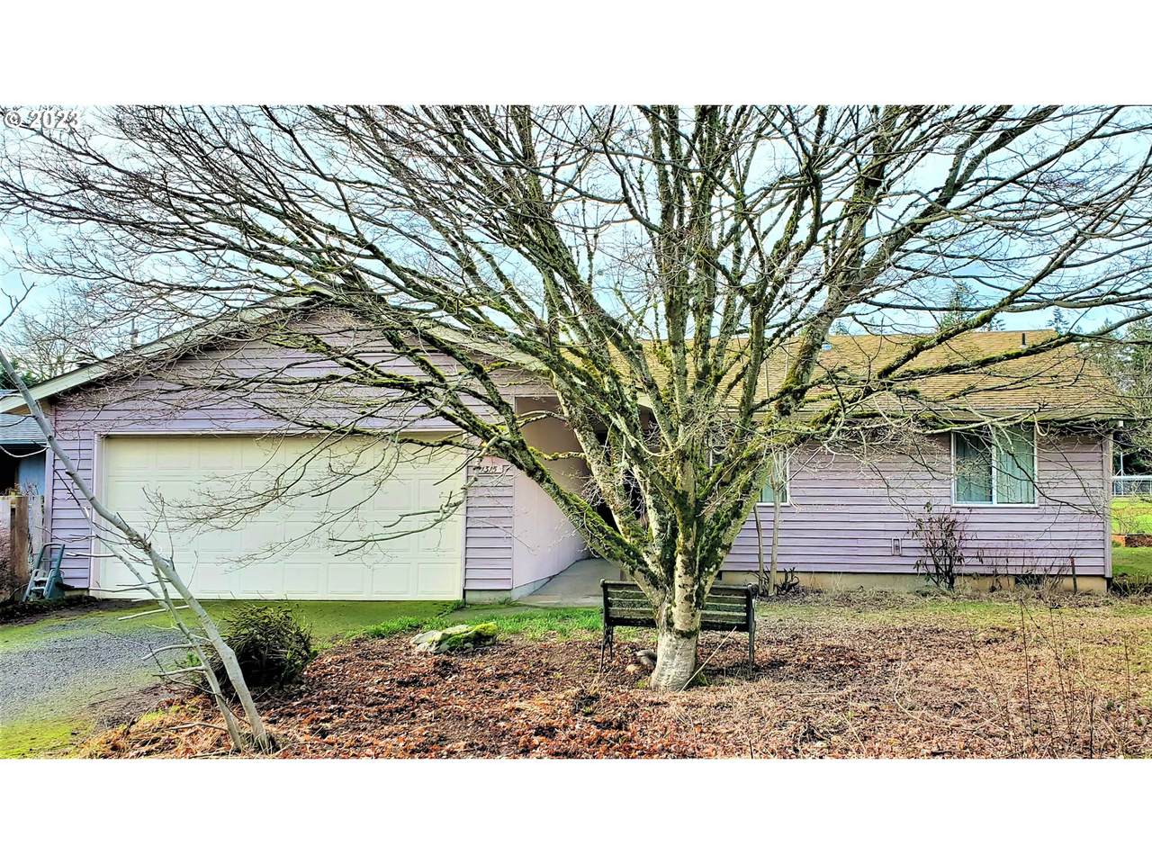 1315 135TH Ave - Photo 1