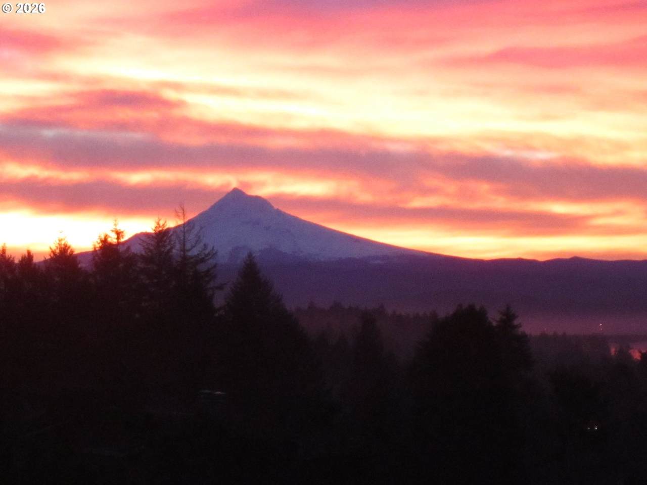 https://bt-photos.global.ssl.fastly.net/portland/orig_boomver_1_236709067-2.jpg