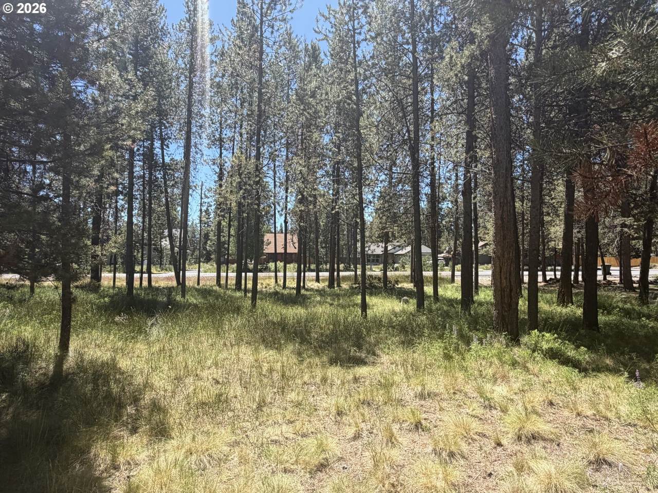 17386 Golden Eye Dr - Photo 1