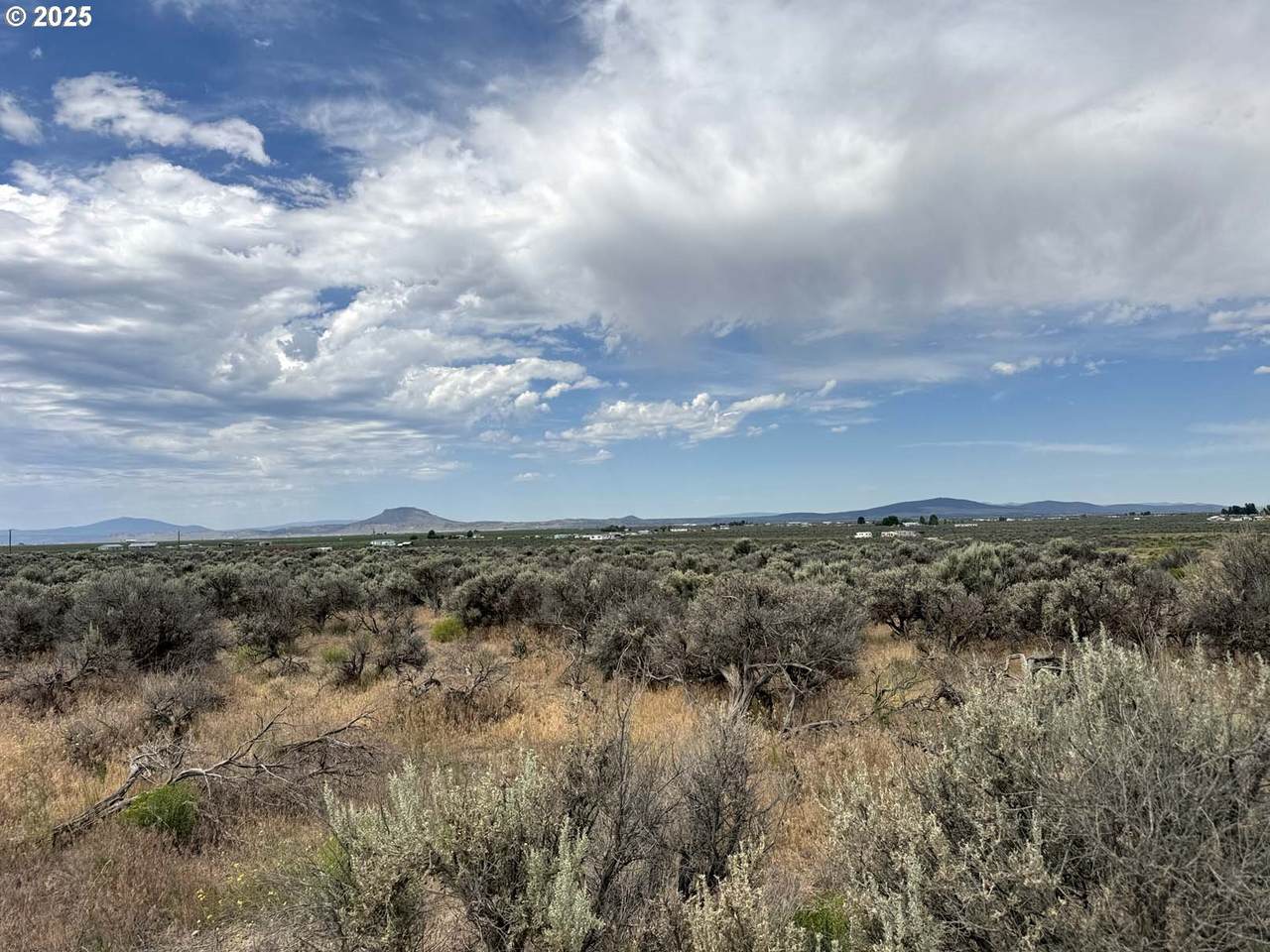  Snowflake Road - Photo 1