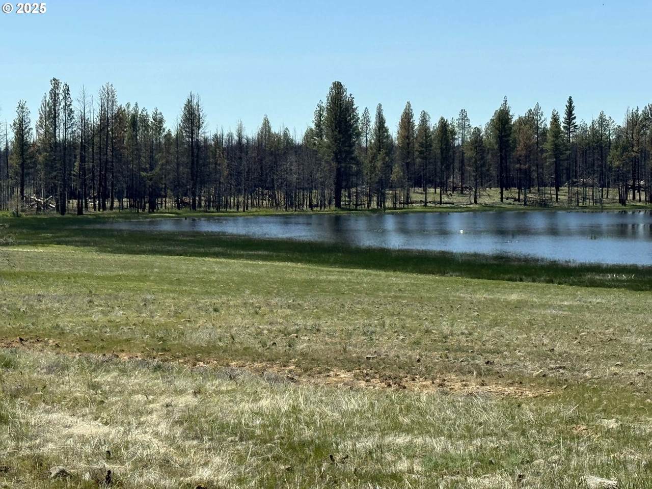  Off-Hicks Road - Photo 1