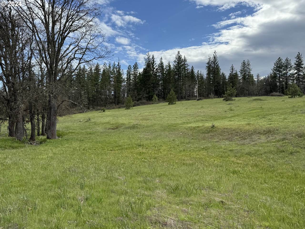 Long Rd - Photo 1