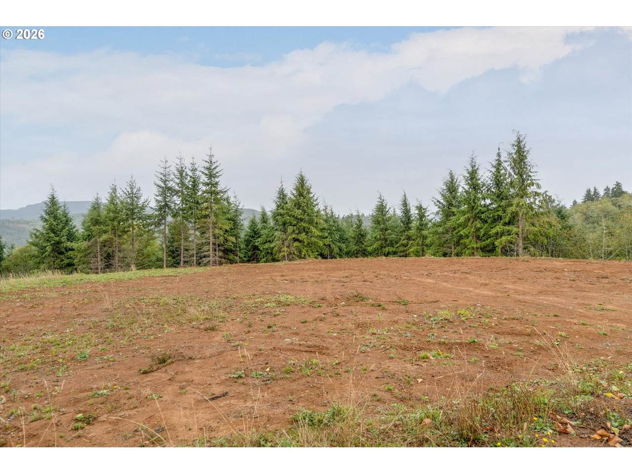 307 Greenwood Rd - Photo 1