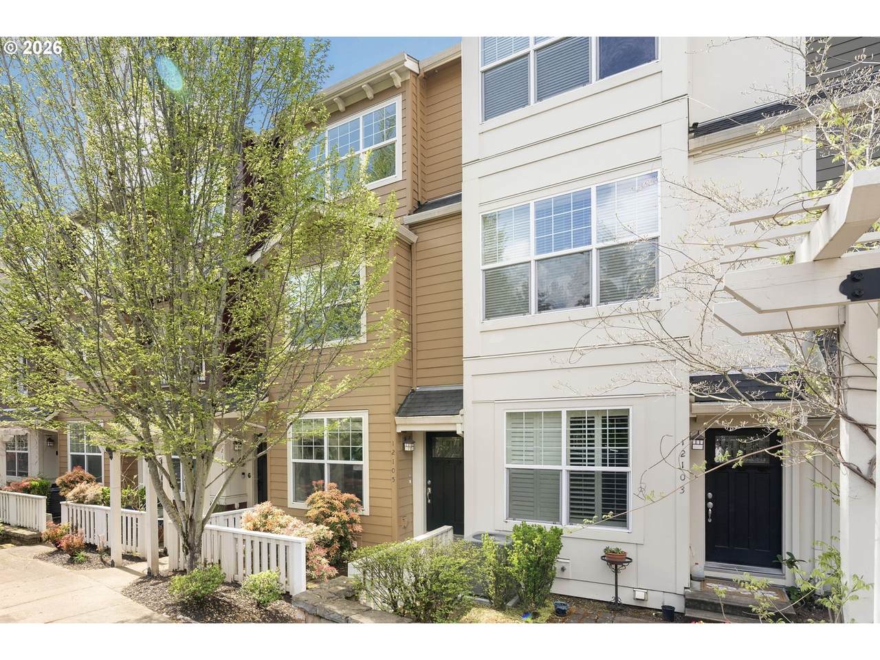 12105 High Creek Rd - Photo 1