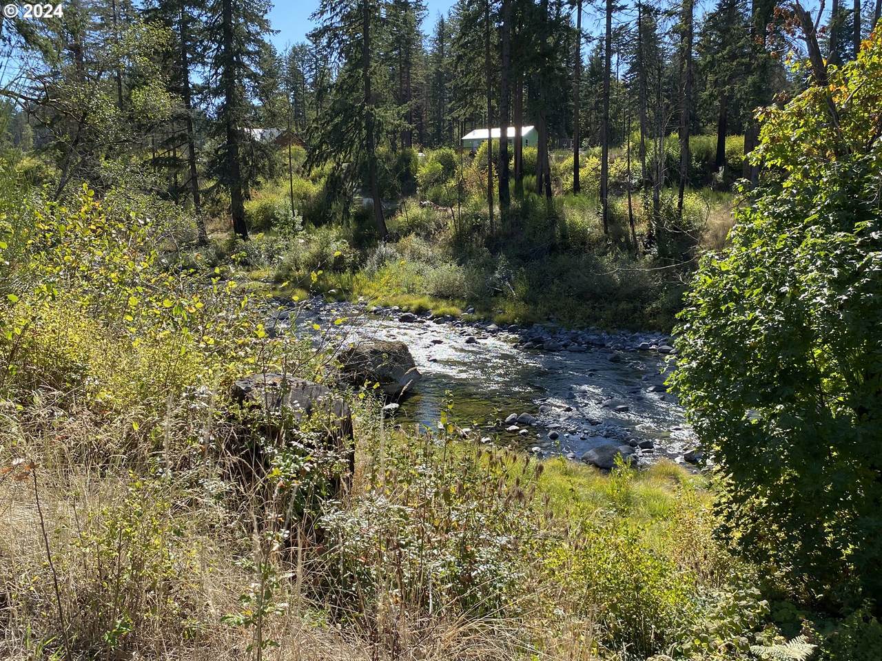 23545 North Fork Rd - Photo 1