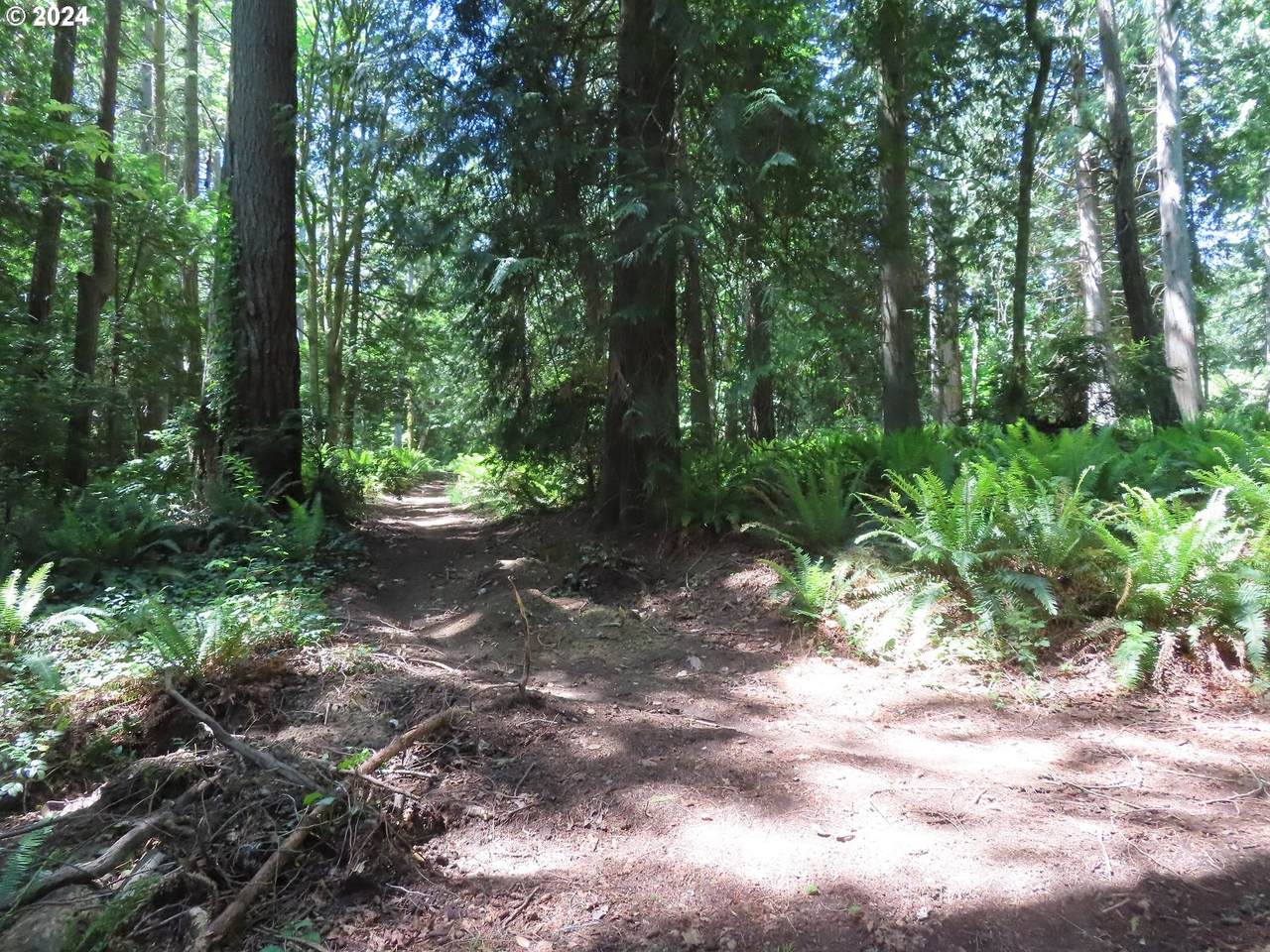 https://bt-photos.global.ssl.fastly.net/portland/1280_boomver_1_24083650-2.jpg