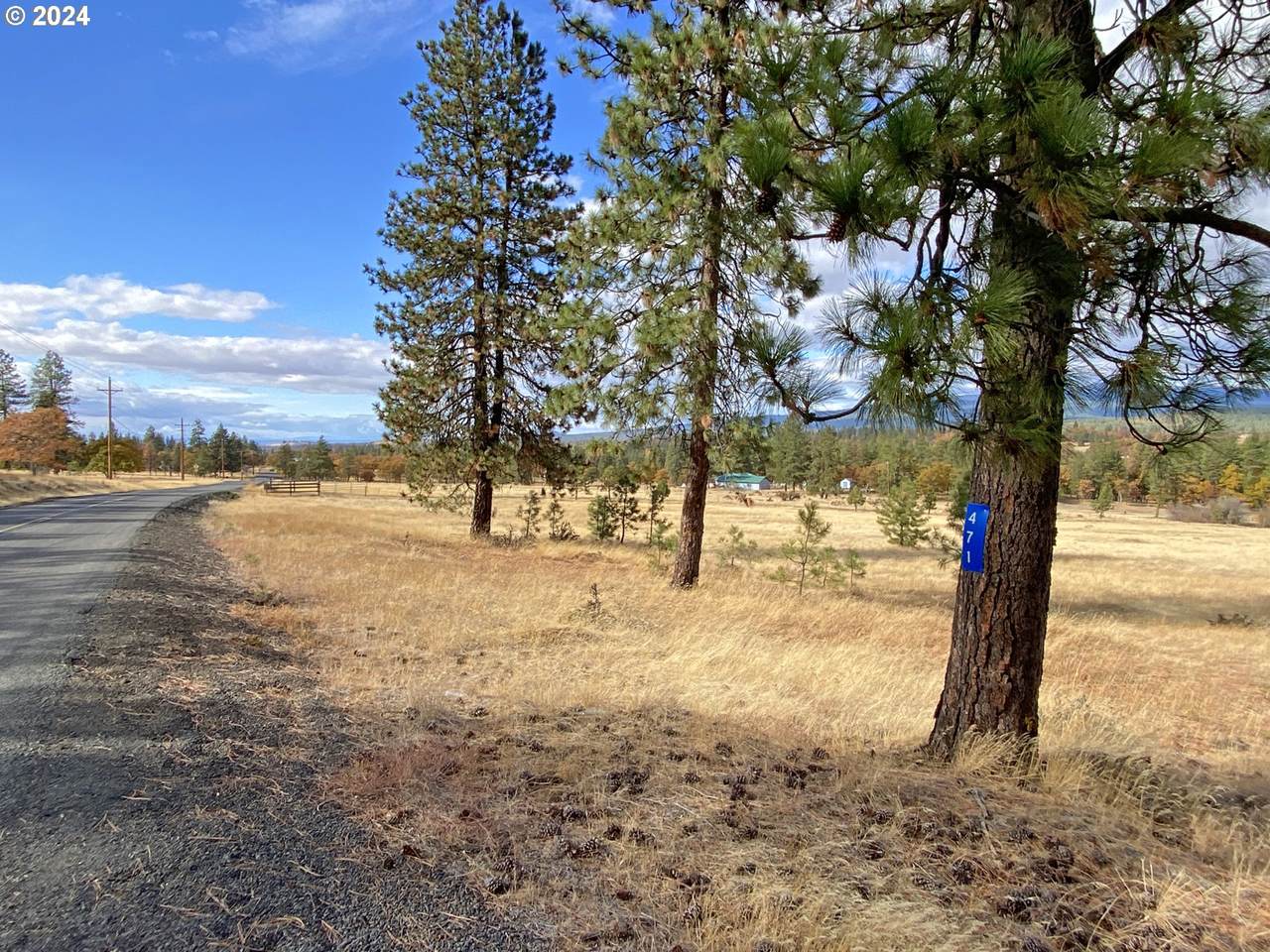 https://bt-photos.global.ssl.fastly.net/portland/1280_boomver_1_24092573-2.jpg