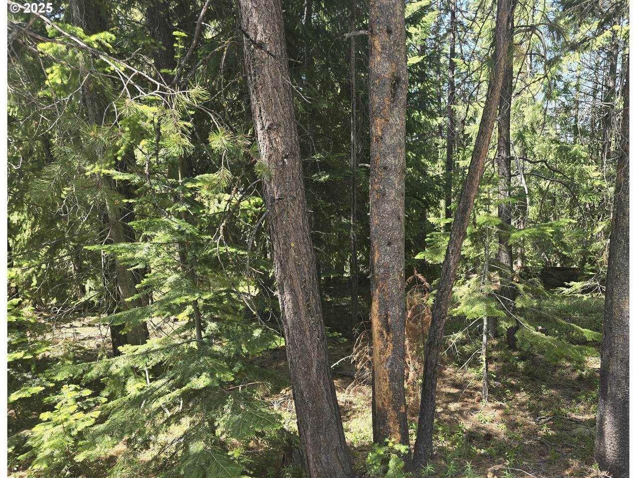 https://bt-photos.global.ssl.fastly.net/portland/1280_boomver_1_240935259-2.jpg