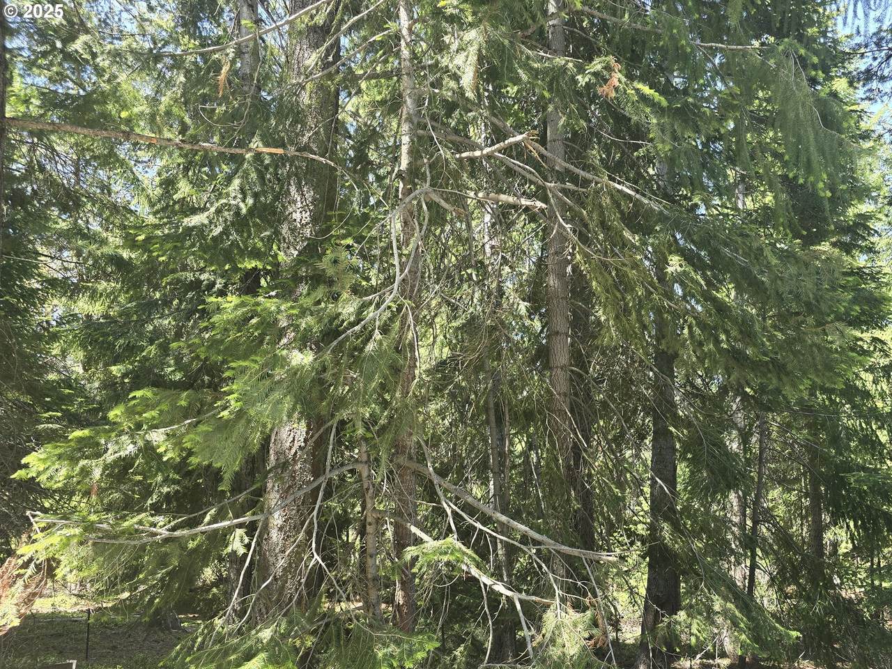 https://bt-photos.global.ssl.fastly.net/portland/1280_boomver_1_240935259-2.jpg