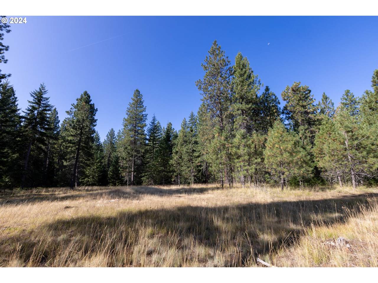 https://bt-photos.global.ssl.fastly.net/portland/1280_boomver_1_24116286-2.jpg