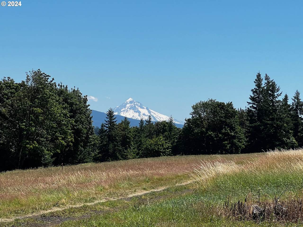 296th Ave - Photo 1