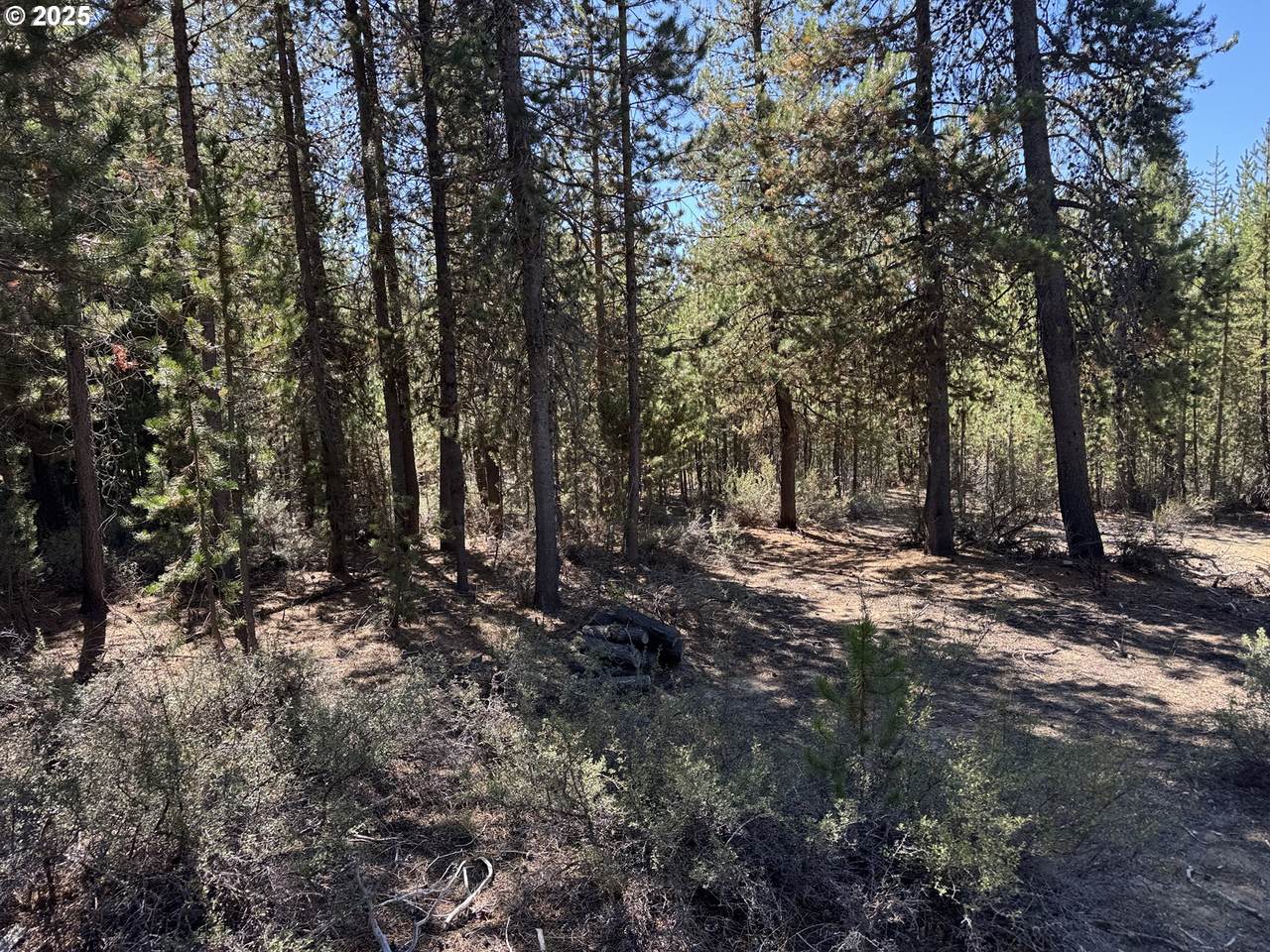  Crescent Moon Drive - Photo 1