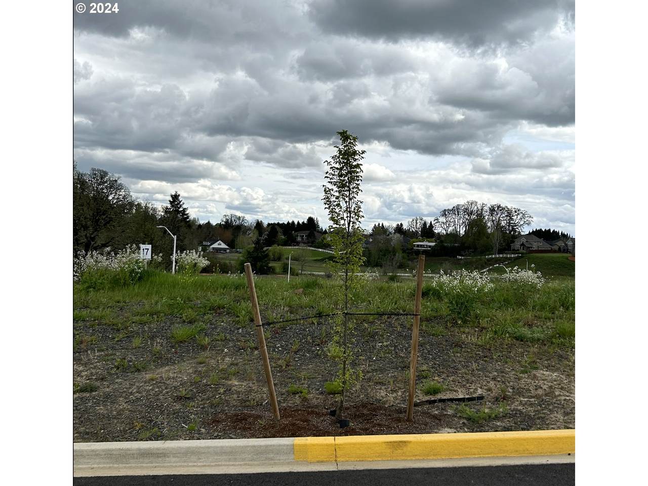 2992 Pinot Noir Dr - Photo 1