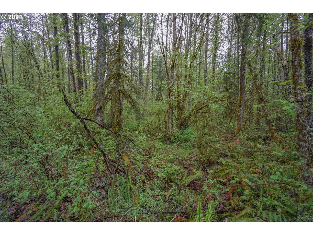 82nd Ave - Photo 1