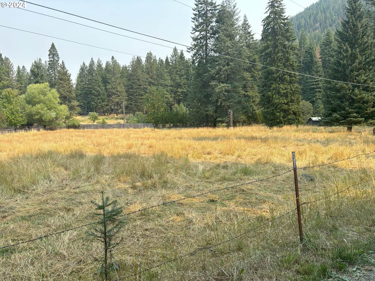 Meadow Lane - Photo 1
