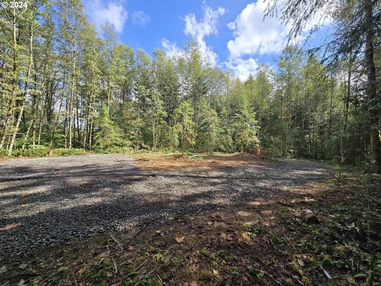 0 Province Rd - Photo 1