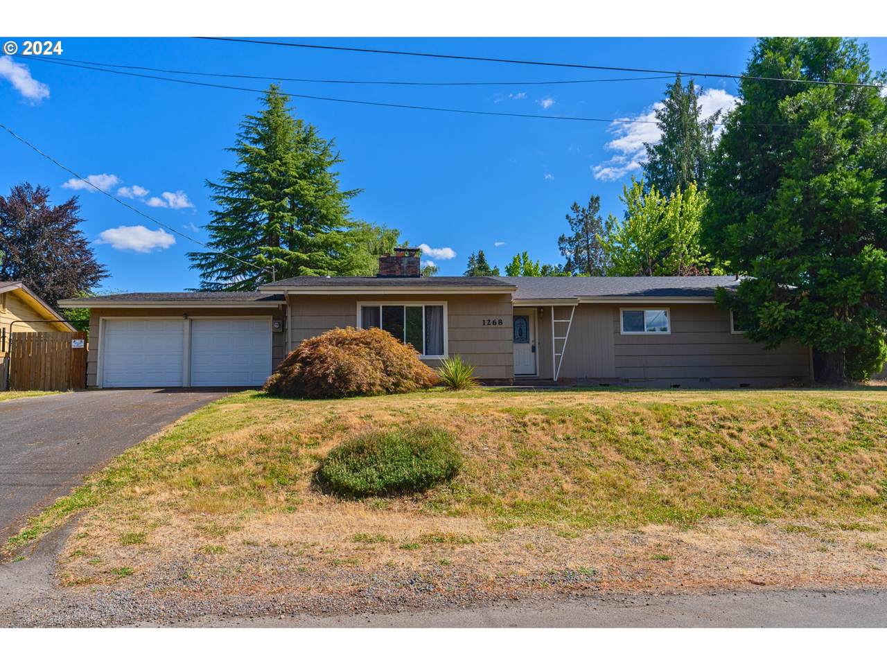 1268 Hemlock St - Photo 1