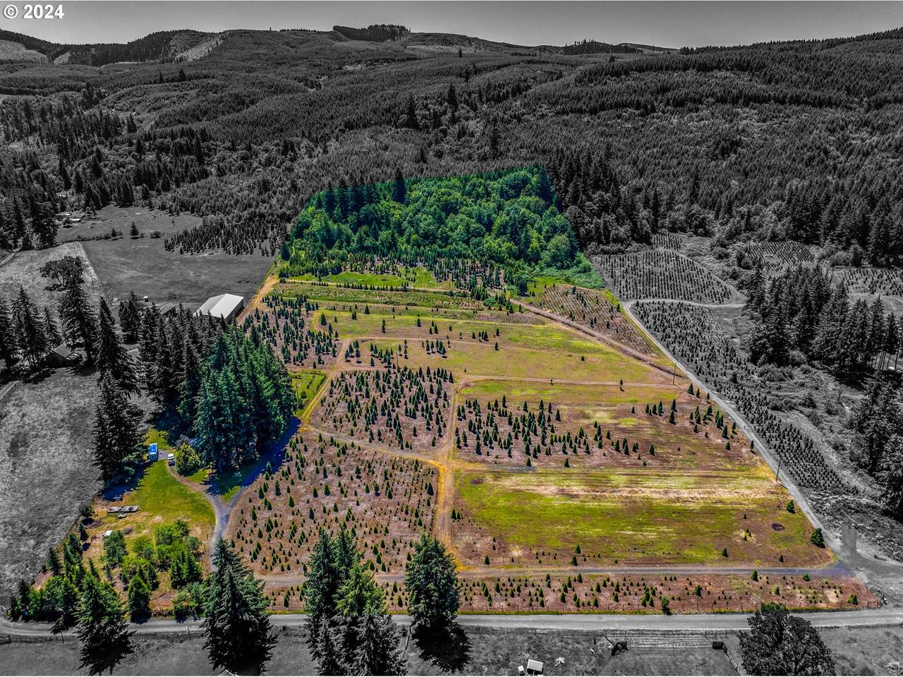 47070 Evergreen Ln - Photo 1