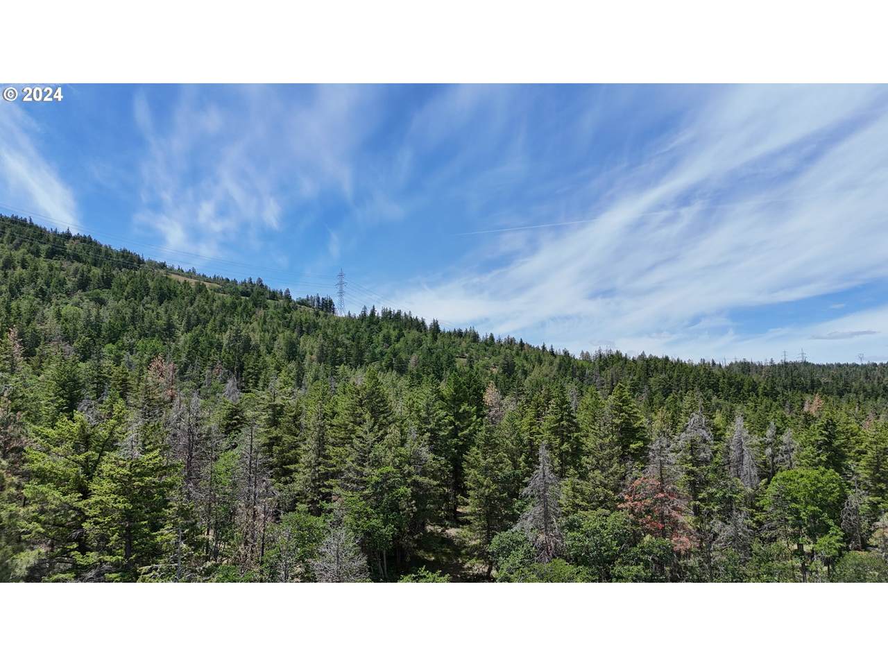 0000 Kelly Springs Rd - Photo 1