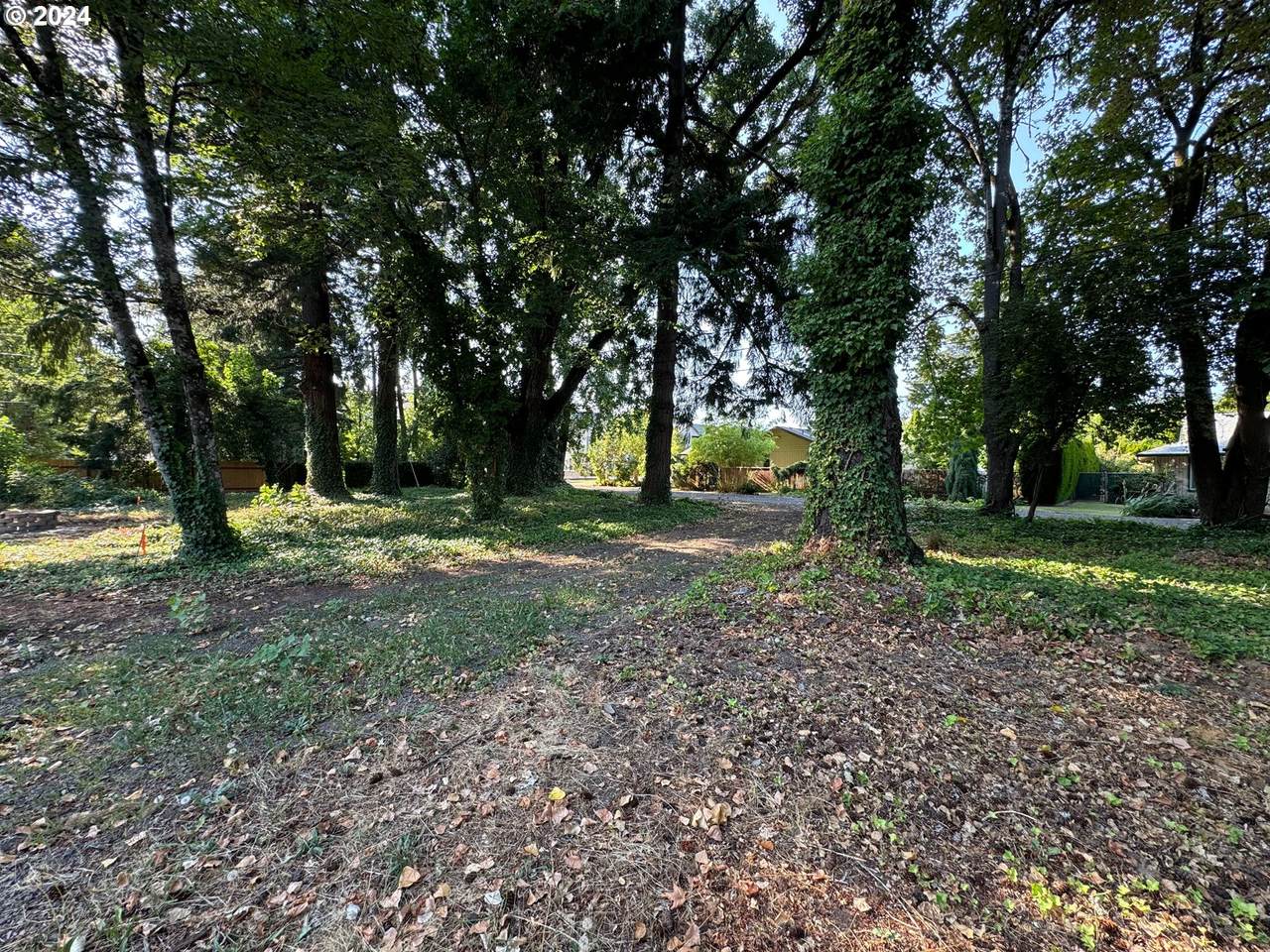 18th Ave - Photo 1