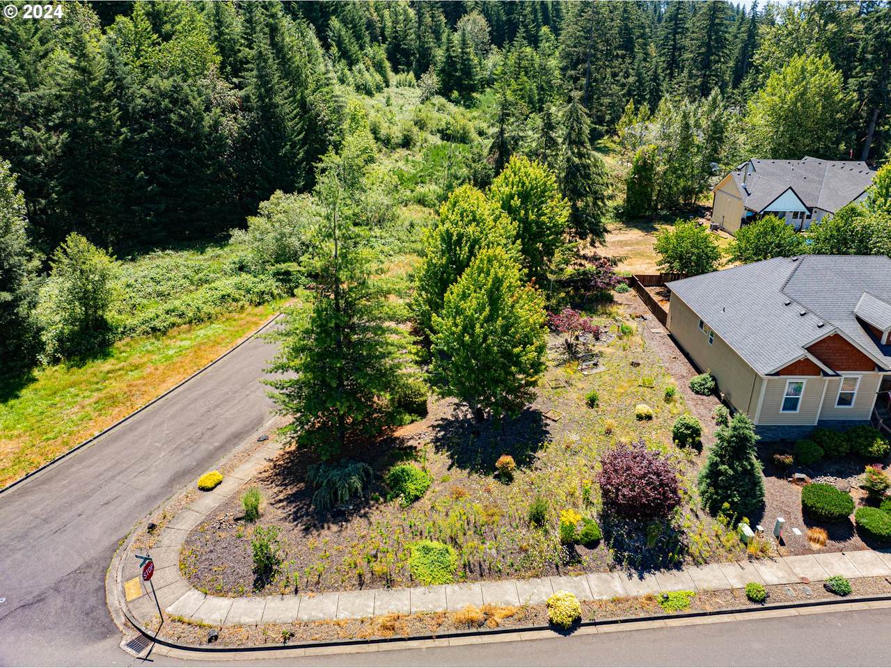 985 Pinetop St - Photo 1