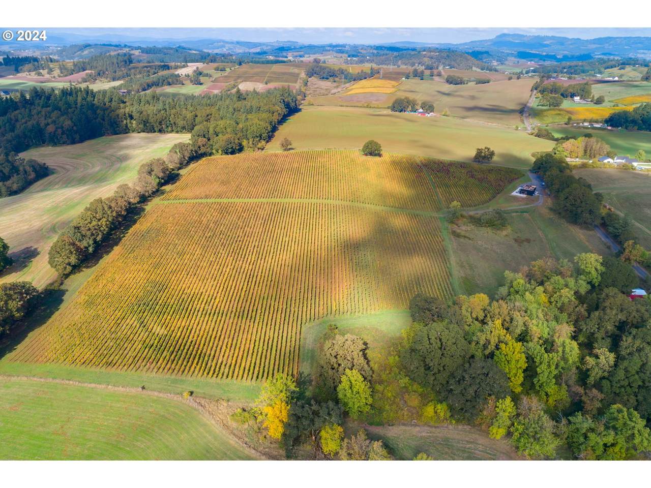 8085 Oak Springs Farm Rd - Photo 1