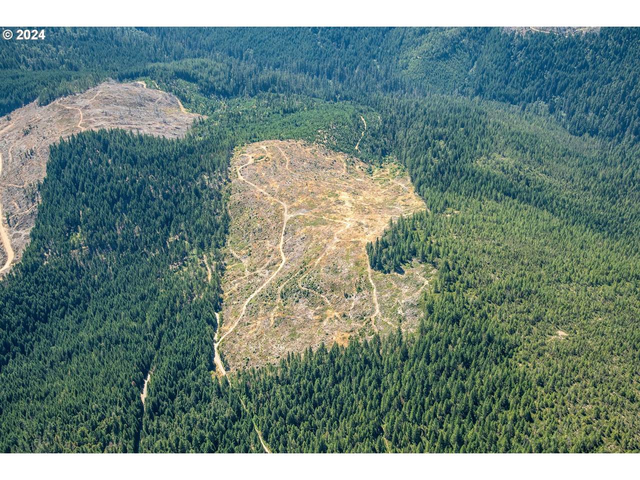 Caves Camp Rd - Photo 1