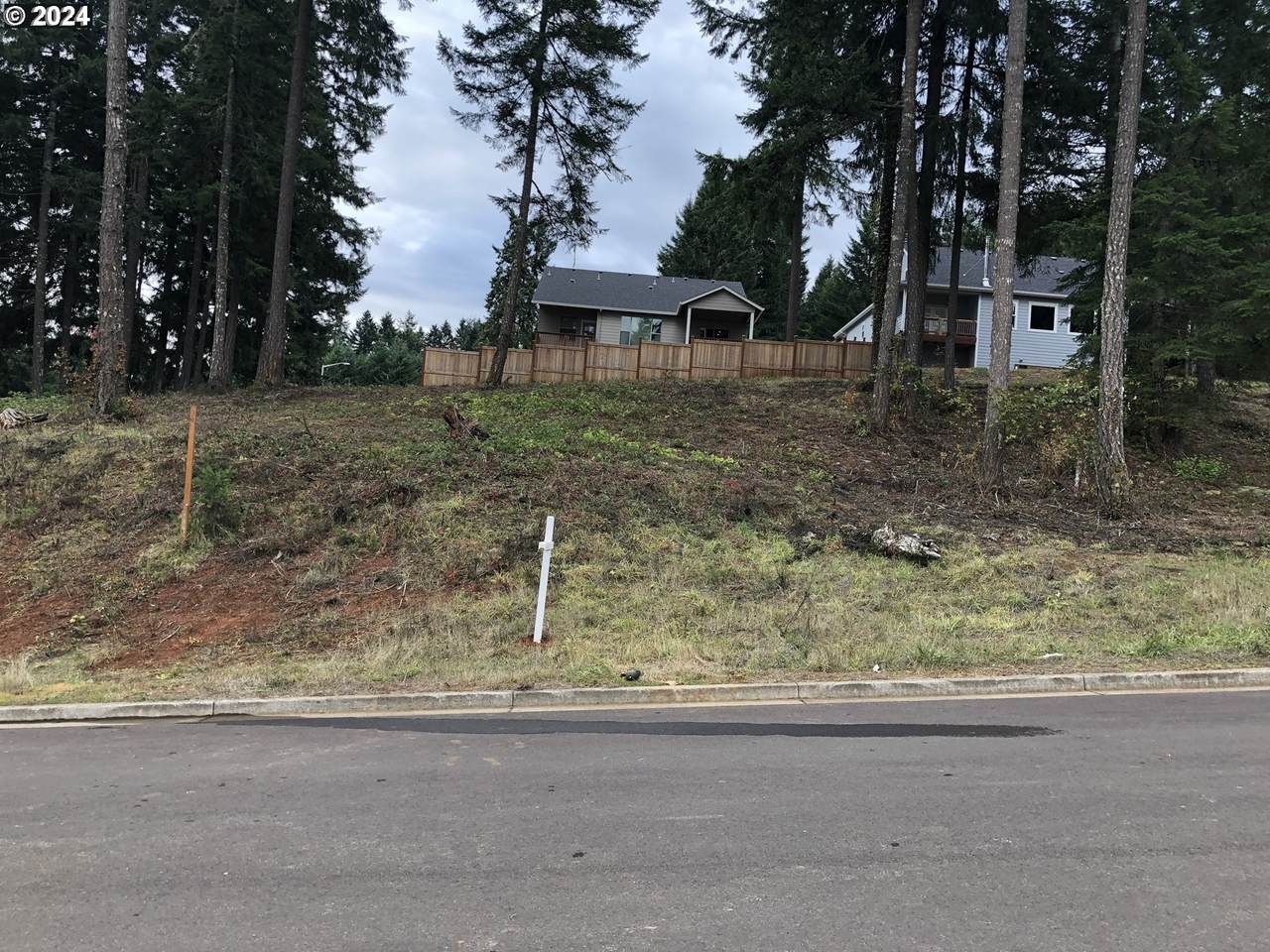 24704 Nottingham St - Photo 1