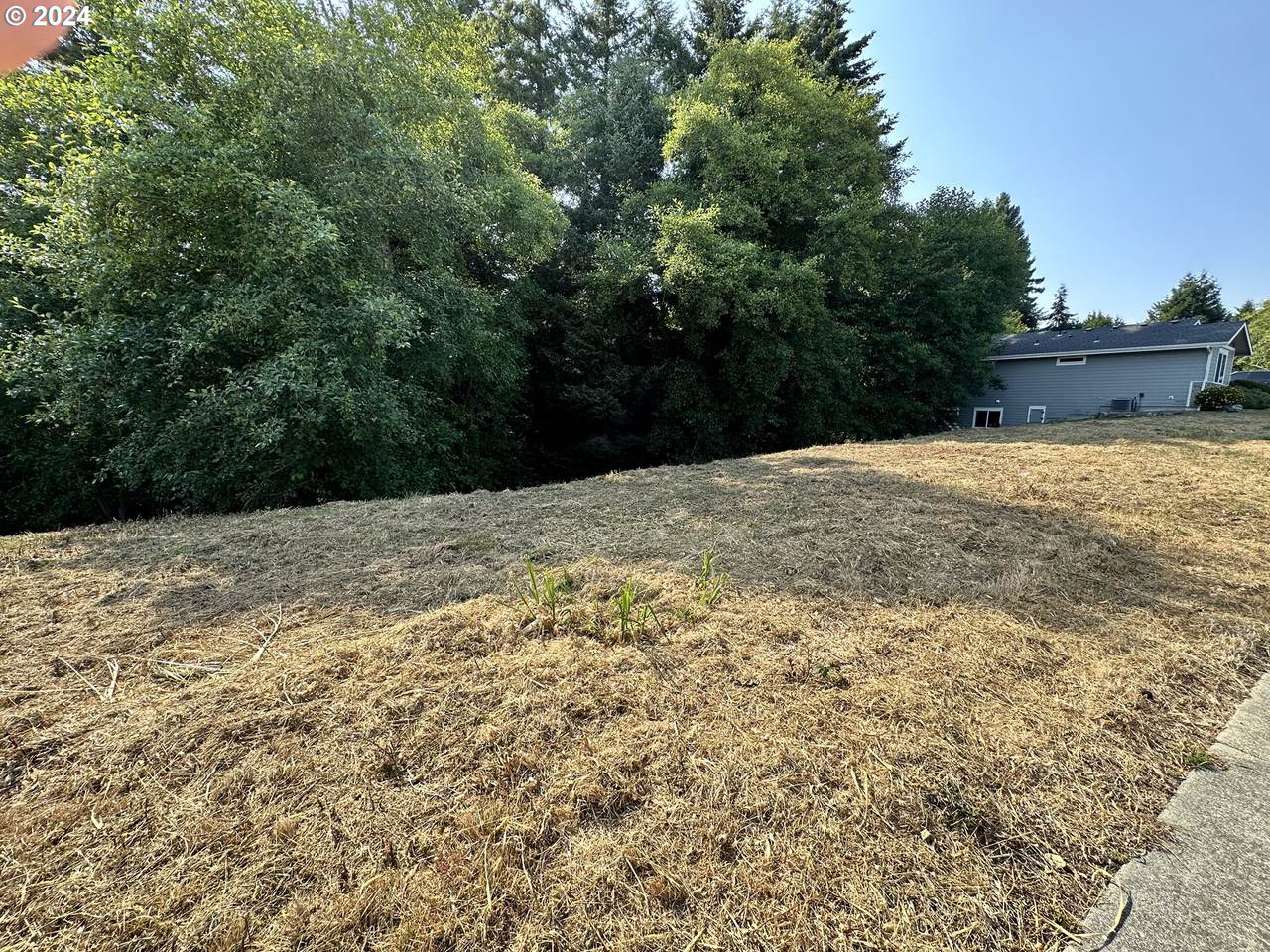 6807 Magnolia Ct - Photo 1