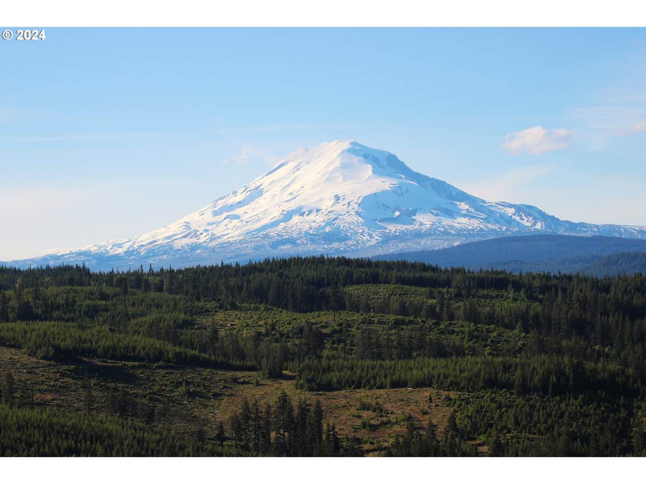 https://bt-photos.global.ssl.fastly.net/portland/1280_boomver_1_24488599-2.jpg
