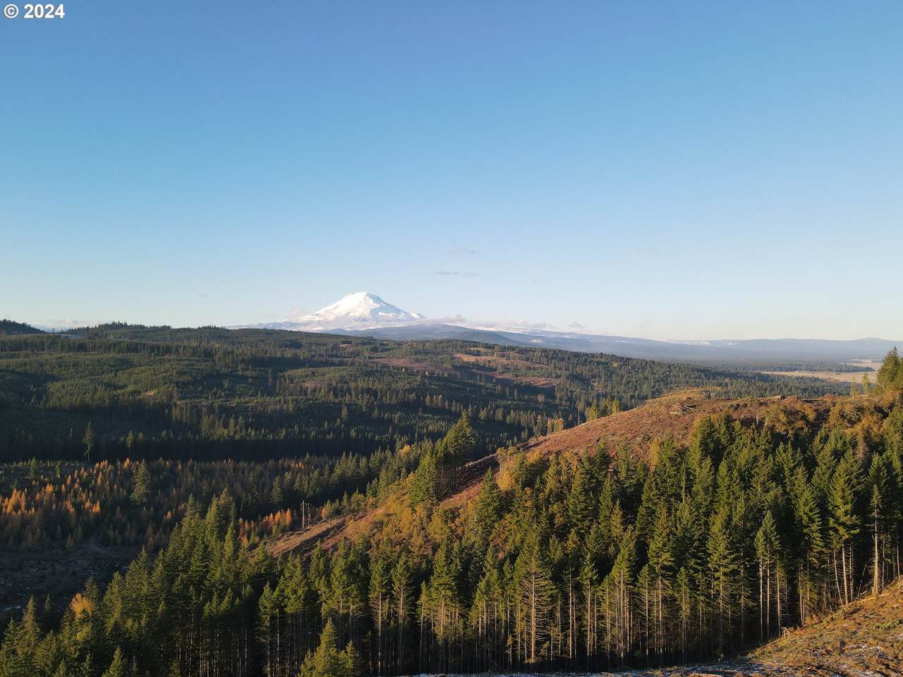 https://bt-photos.global.ssl.fastly.net/portland/1280_boomver_1_24488599-2.jpg