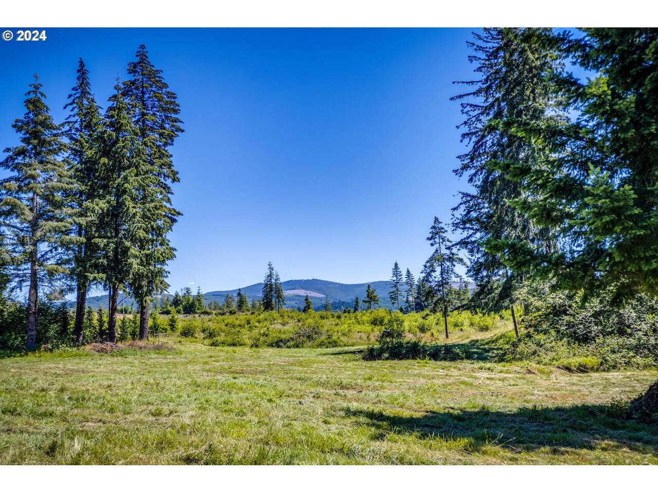 https://bt-photos.global.ssl.fastly.net/portland/1280_boomver_1_24497089-2.jpg