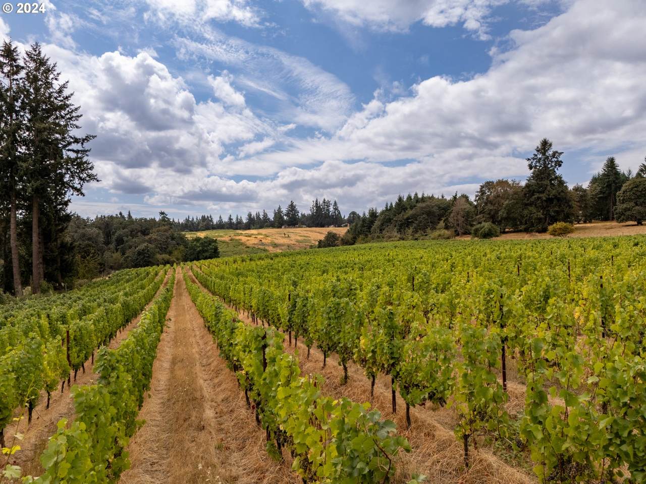 10420 Hillview Dr - Photo 1