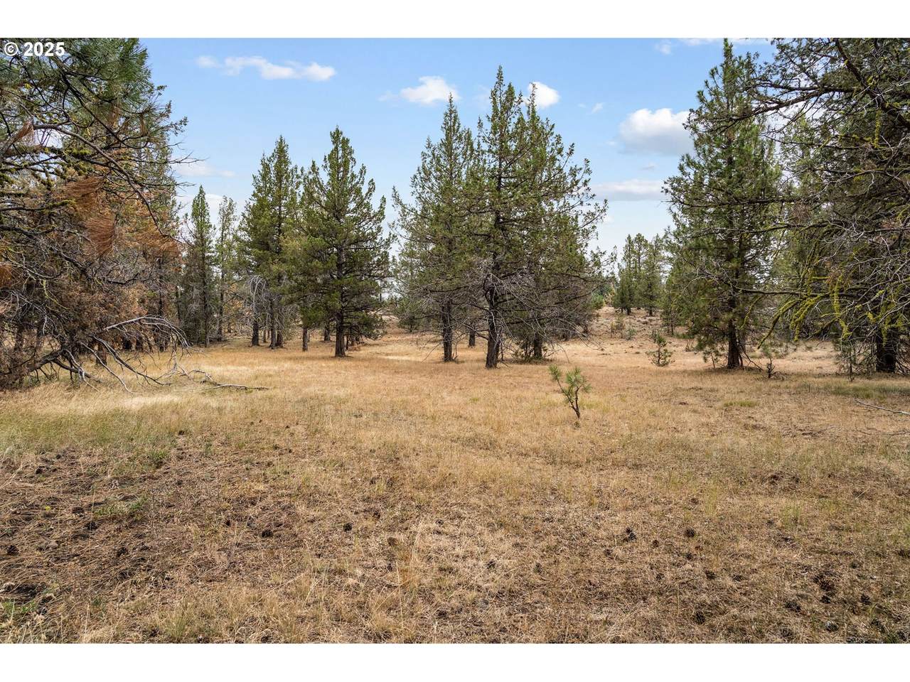  Wolf Creek Rd 42 - Photo 1