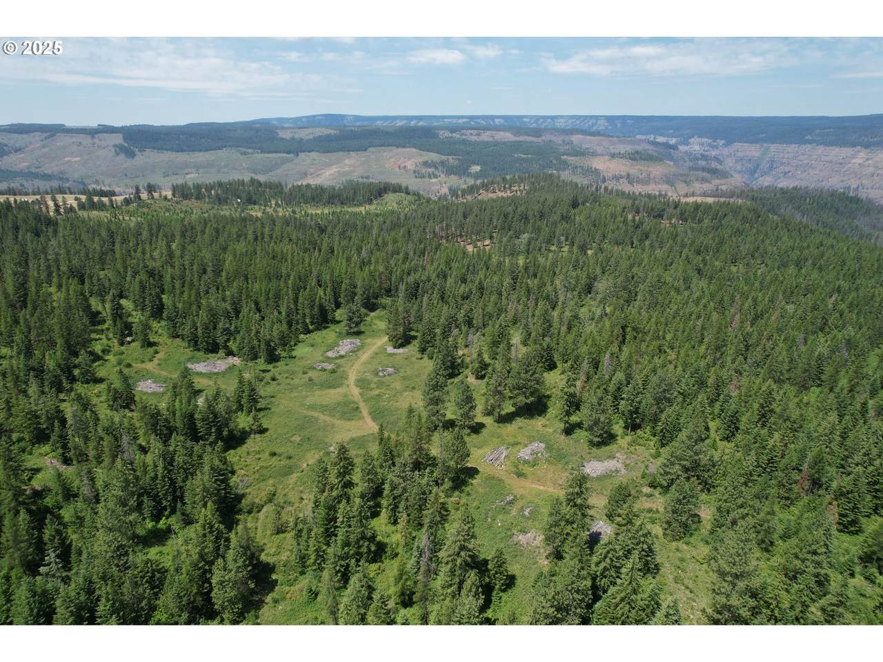 0 Sickfoot Rd - Photo 1