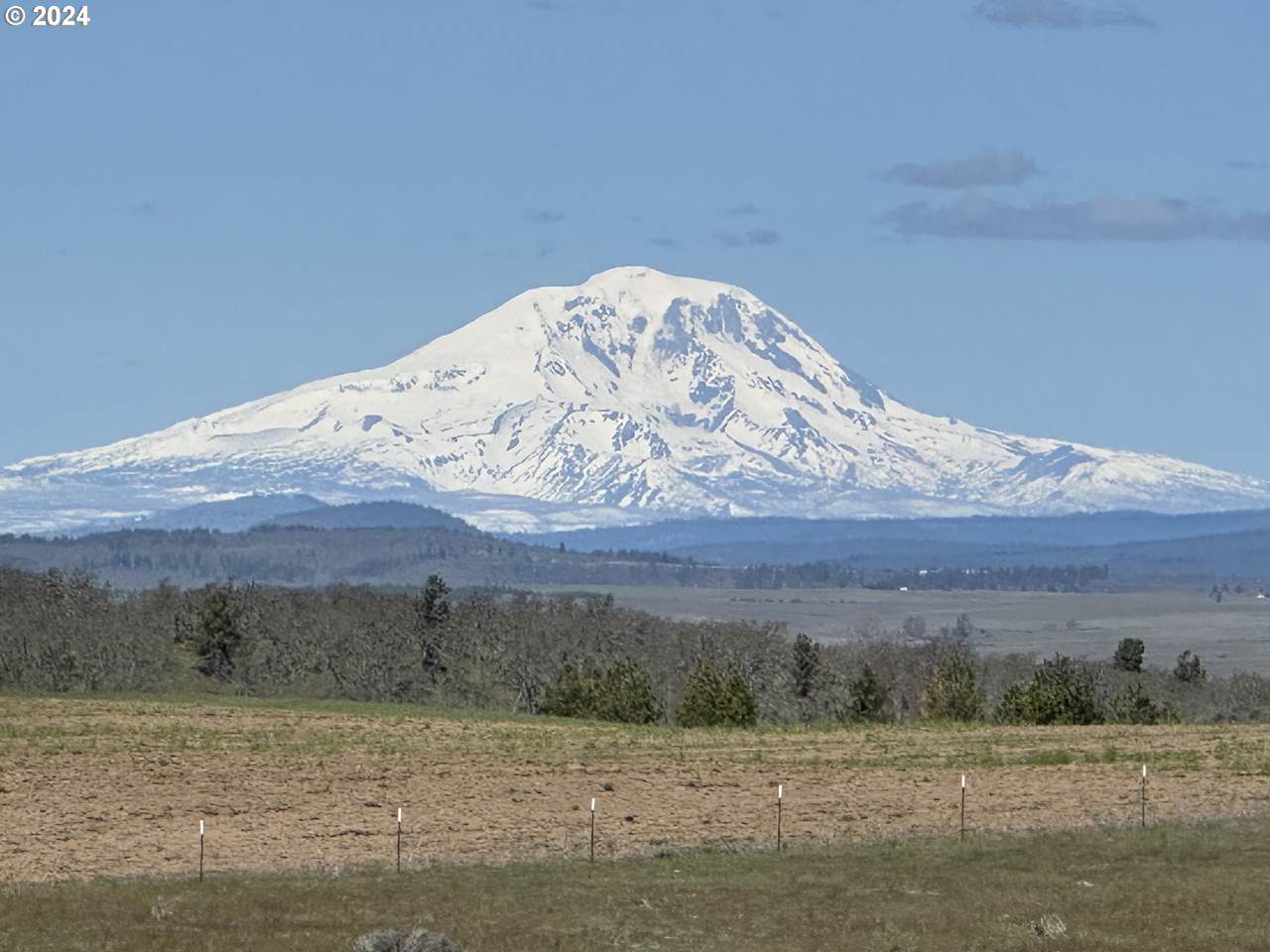 https://bt-photos.global.ssl.fastly.net/portland/1280_boomver_1_24572118-2.jpg