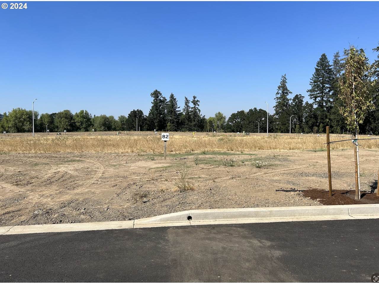 1553 Tracy St - Photo 1