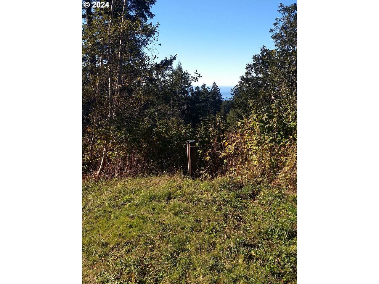 https://bt-photos.global.ssl.fastly.net/portland/1280_boomver_2_24625338-2.jpg
