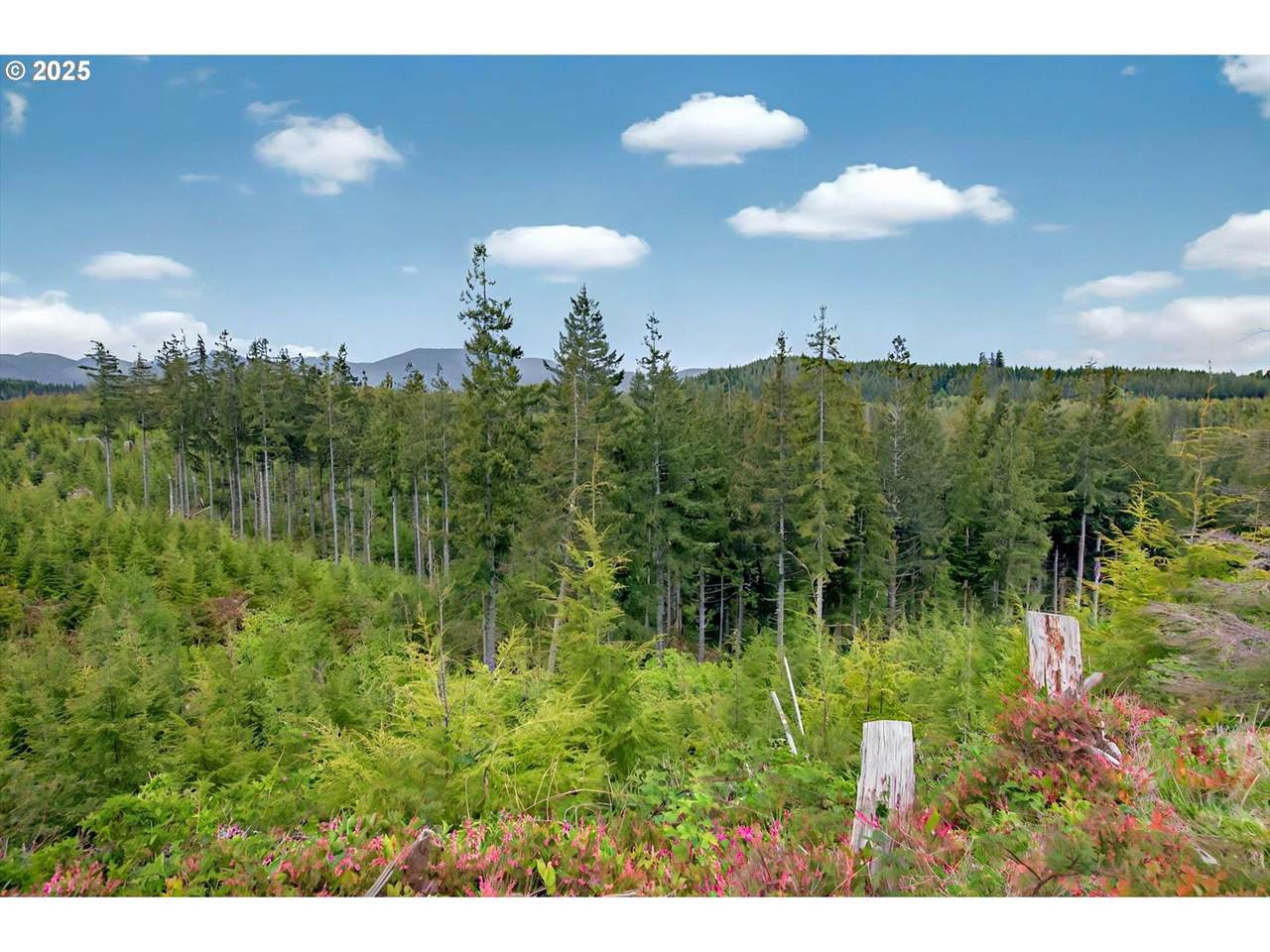 4 Parpala Rd - Photo 1