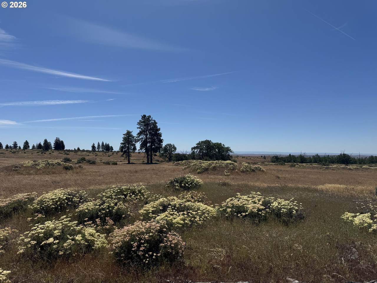 https://bt-photos.global.ssl.fastly.net/portland/1280_boomver_2_248978344-2.jpg