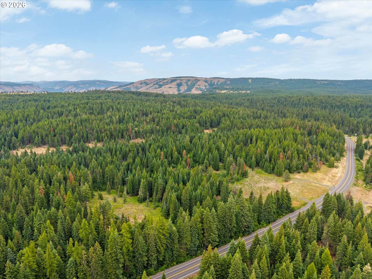  Hwy 204 - Photo 1